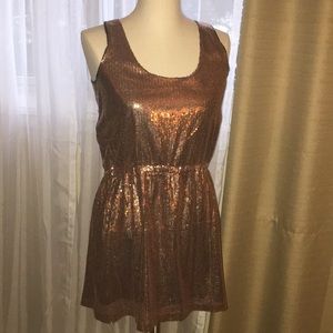 Rose Gold Sequin Mini Dress